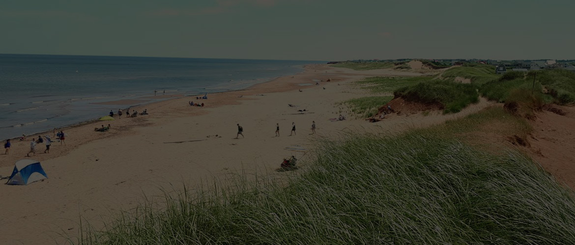 About Driftwood Properties